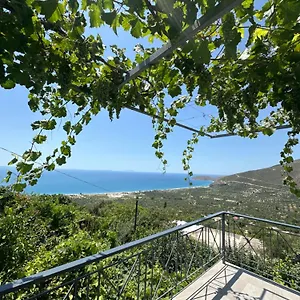 Apartament Ani